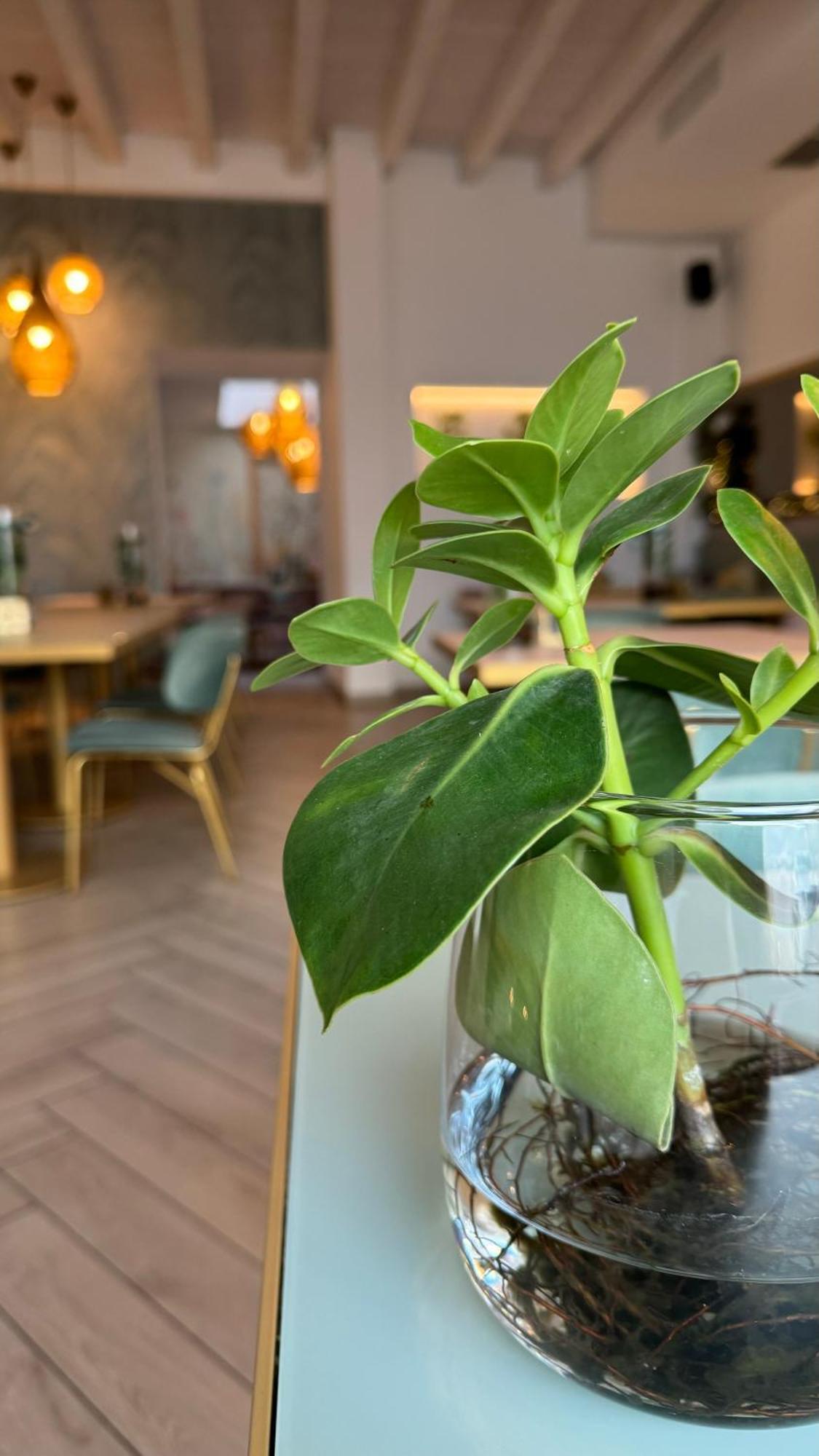 Luxury Suites Rocopom - Lake Front Malgrate Εξωτερικό φωτογραφία